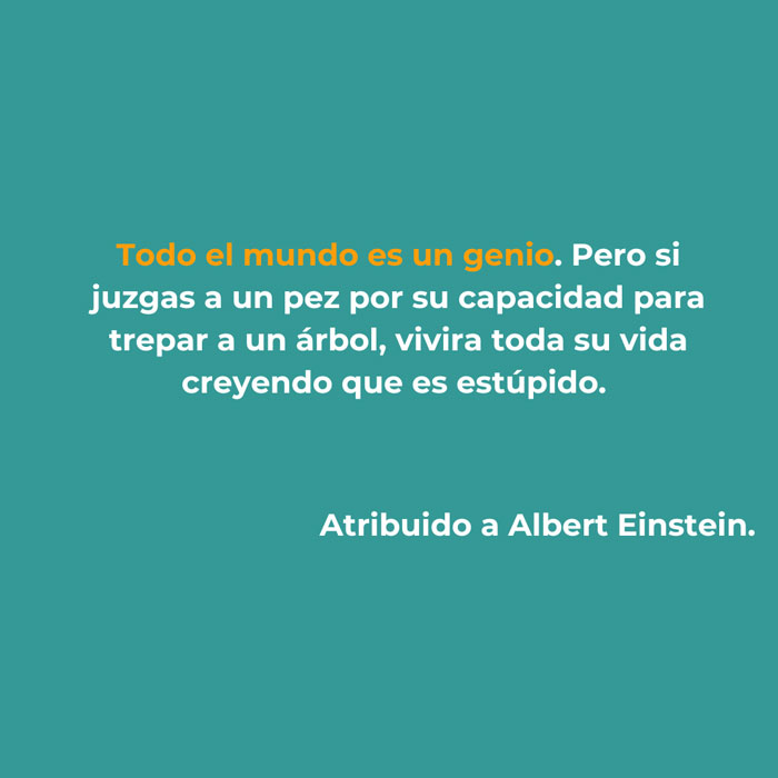 TARJETA1
